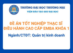 Đề án tốt nghiệp Thạc sĩ Điều hành cao cấp EMBA Khóa 1 - Ngành/CTĐT: Quản trị kinh doanh